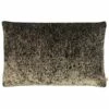 Kai Lynx Bronze Velvet Animal Print Filled Cushions 1 Kai Lynx Bronze Velvet Animal Print Filled Cushions -Ideal Shop 1 483abaca 108b 4849 bd44 e3bbe9ebee44