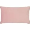 Sunningdale Velvet Rectangular Powder Filled Cushions 12'' X 20'' 1 Sunningdale Velvet Rectangular Powder Filled Cushions 12'' X 20'' -Ideal Shop 1 5a03f615 5800 4e57 a39c 47637450dbf3