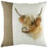 Hessian Highland Cow Watercolour Print Filled Cushions 17'' X 17'' 1 Hessian Highland Cow Watercolour Print Filled Cushions 17'' X 17'' -Ideal Shop cow 1 8e50308d 1430 4d09 8792 f7fae6f8a26e