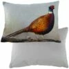 Pheasant Velvet Chenille Luxury Filled Cushions 33cm X 43cm -Ideal Shop pheasant 1 3d9e9a34 298a 47fe 9dcd 3c873948f43e